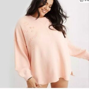 EUC Aerie Down-to-Earth Oversized Sweatshirt